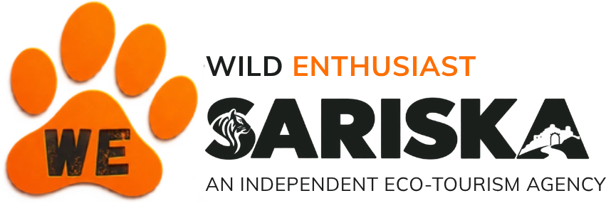 Wild Enthusiast Sariska