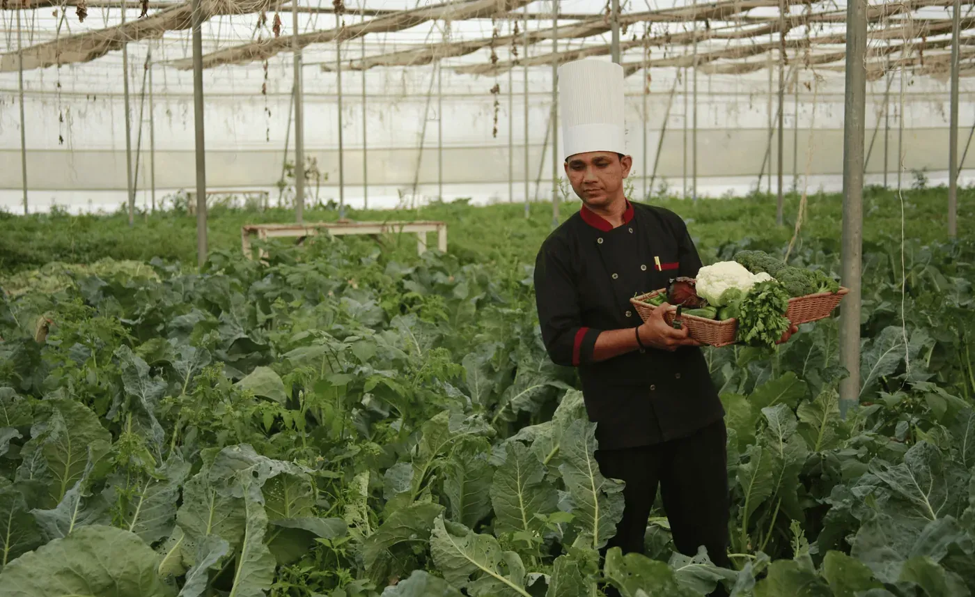 Farm-to-Table Dining