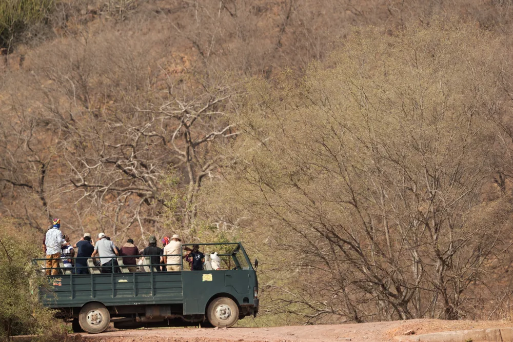 Canter Safari